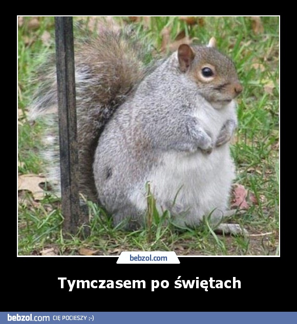Tymczasem po świętach