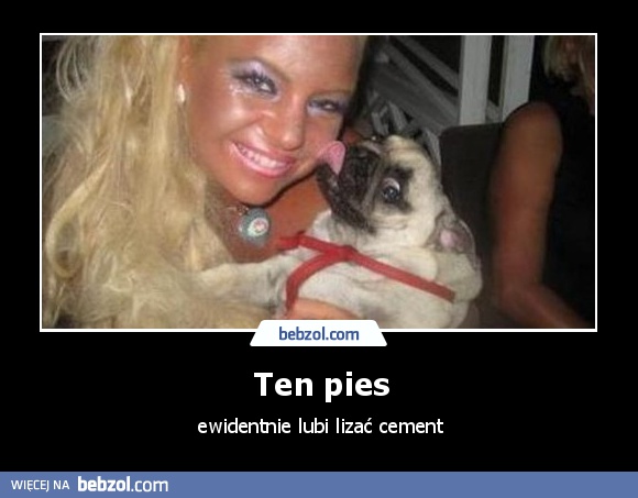 Ten pies