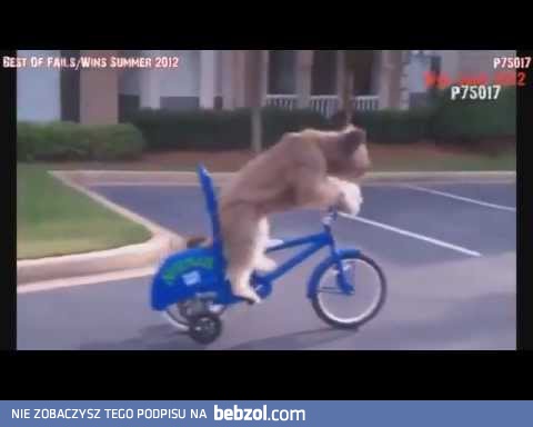 Rosja to styl życia