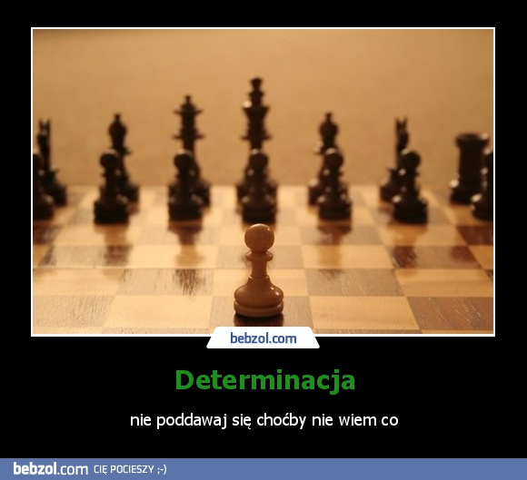 Determinacja