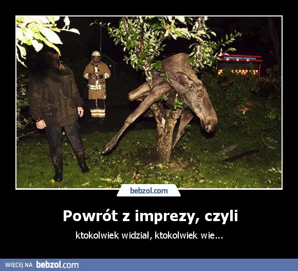 Powrót z imprezy, czyli