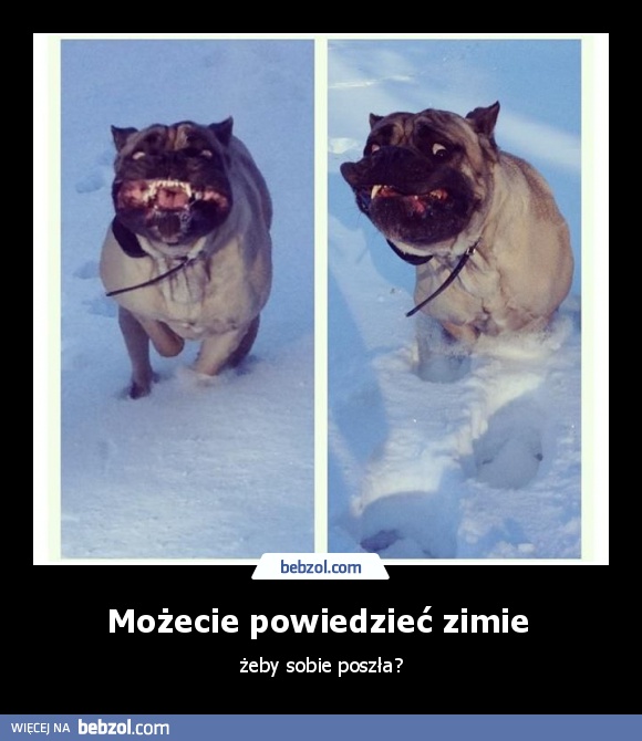 Możecie powiedzieć zimie 