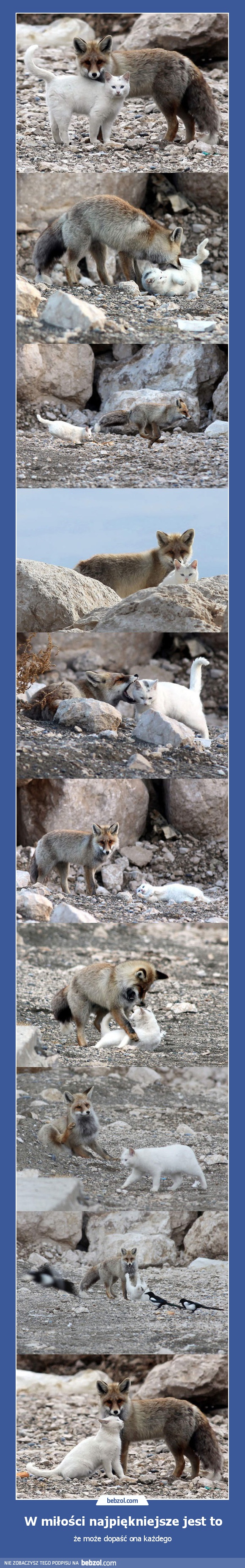 W miłości najpiękniejsze jest to