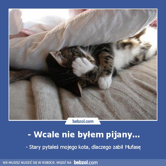 - Wcale nie byłem pijany...