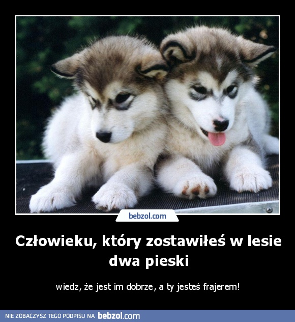 Człowieku, który zostawiłeś w lesie dwa pieski