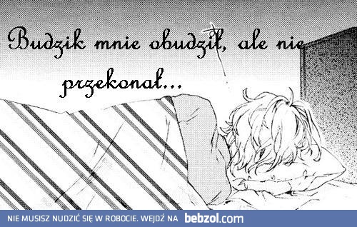 Budzik mnie obudził, ale...
