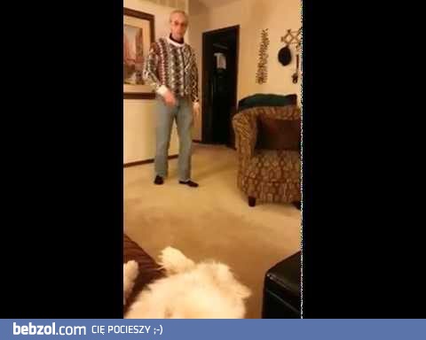  Gangnam Style 