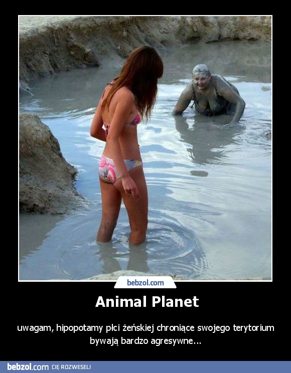 Animal Planet