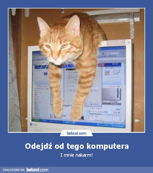 Odejdź od tego komputera