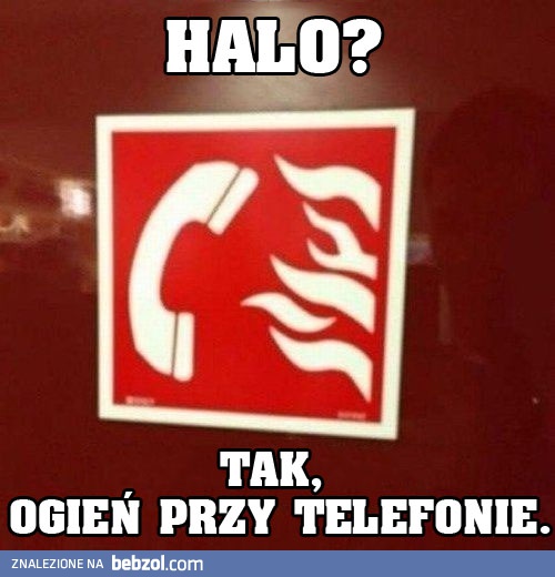 Halo?