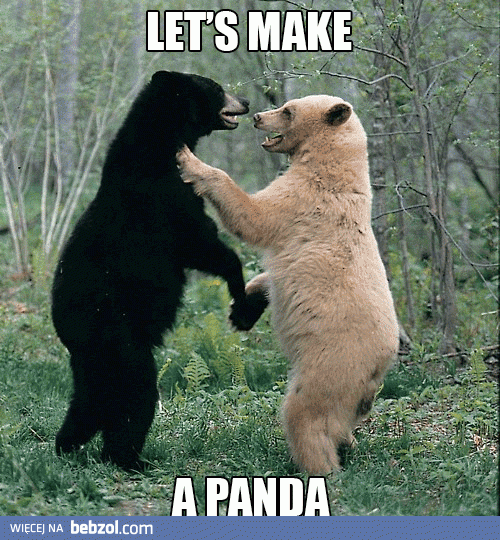 Zróbmy sobie pandę!