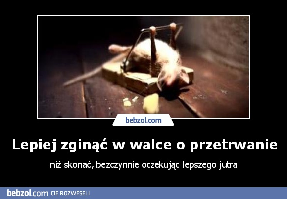 Lepiej zginąć w walce o przetrwanie