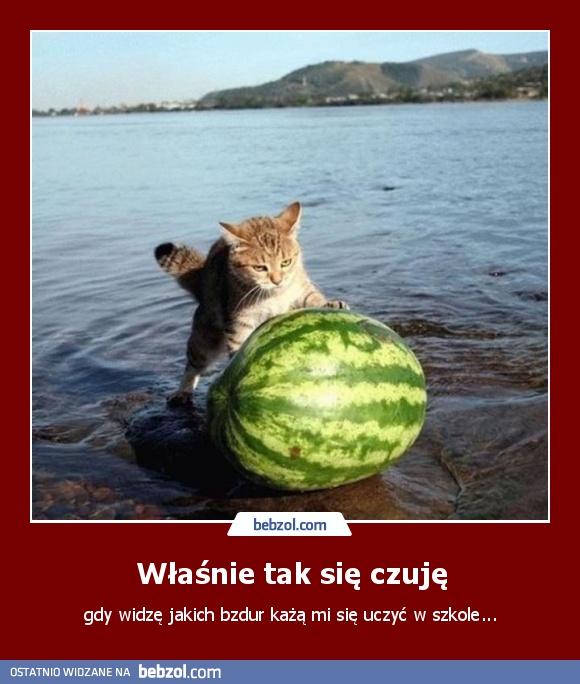 Właśnie tak się czuję