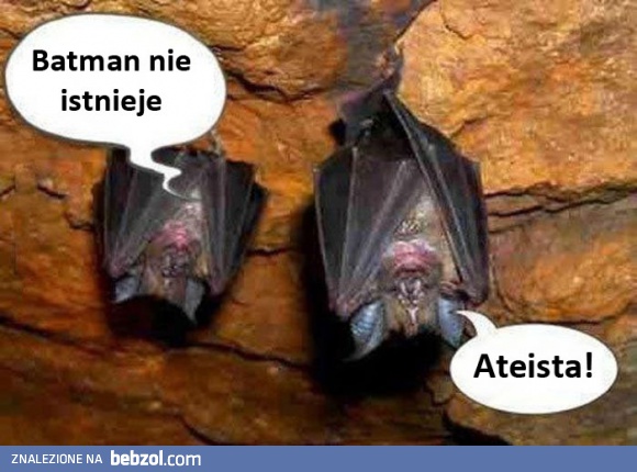 Rozmowa dwóch nietoperzy