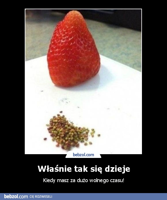 Właśnie tak się dzieje