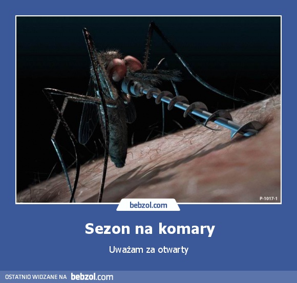 Sezon na komary