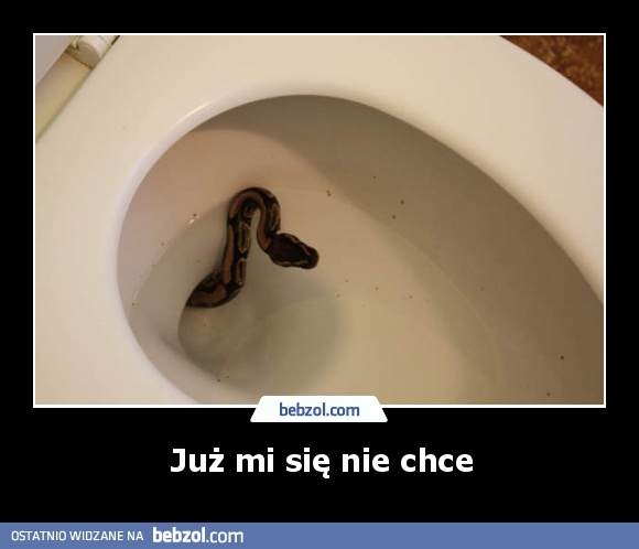 Już mi się nie chce