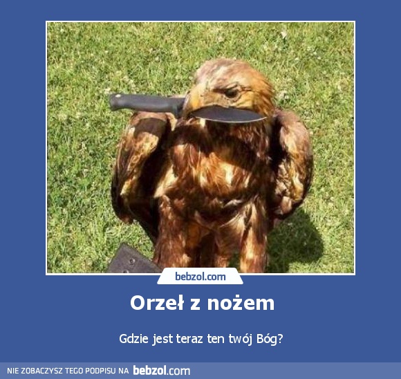 Orzeł z nożem