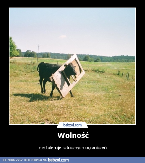 Wolność
