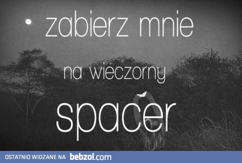 Spacer