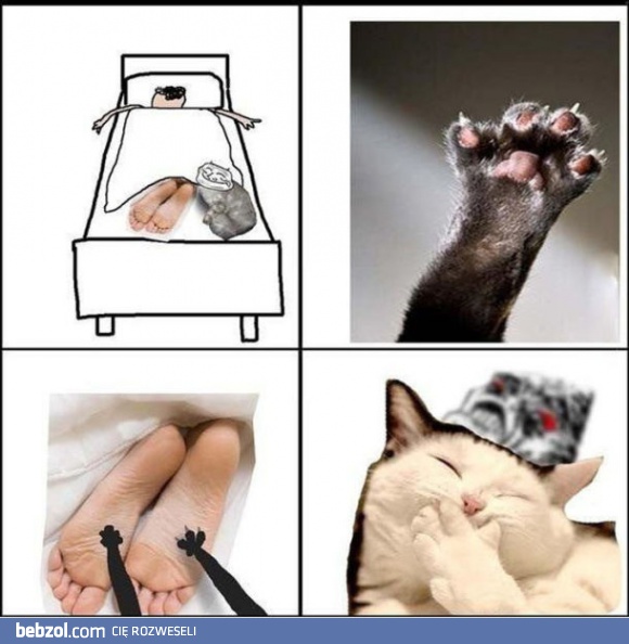 Świetny żarcik, kocie!