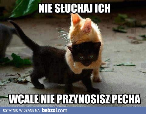 Wcale nie przynosisz pecha!