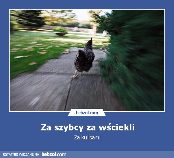 Za szybcy za wściekli