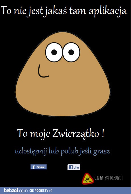 To nie byle jaka aplikacja