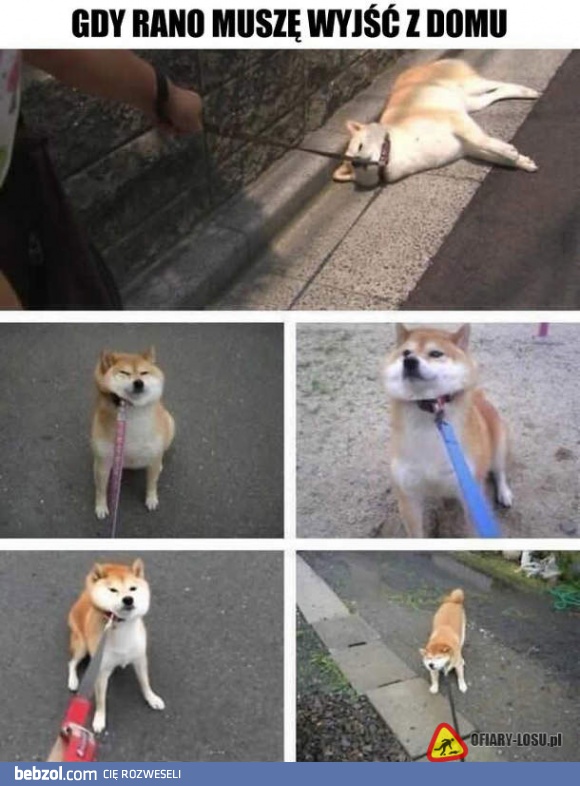 Wychodzenie z domu rano