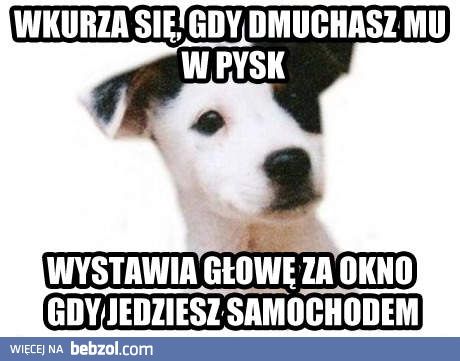 Psia logika