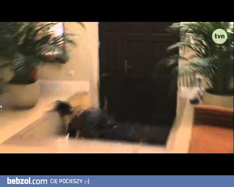 Wejście Smoka Magdy Gessler