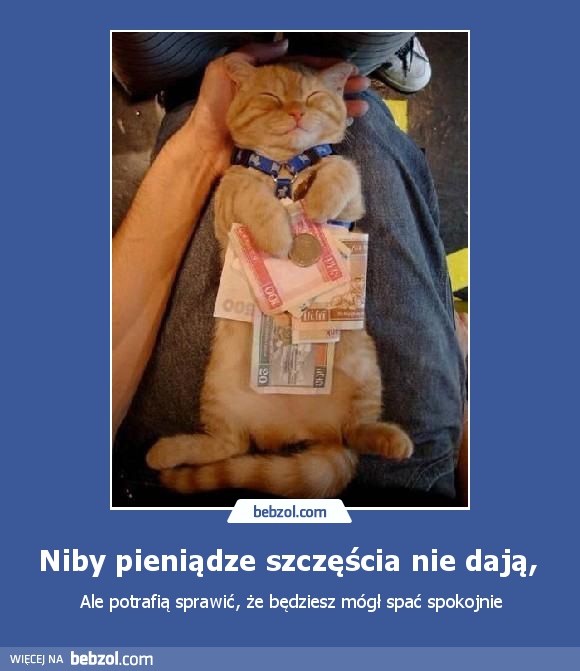 Niby pieniądze szczęścia nie dają, 