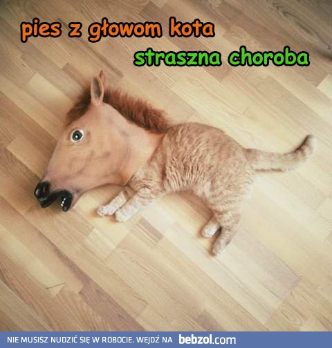 Straszna choroba