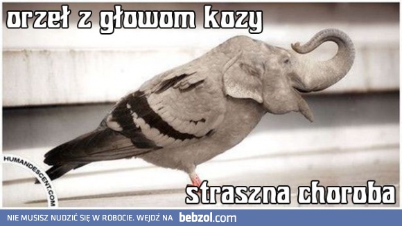Straszna choroba