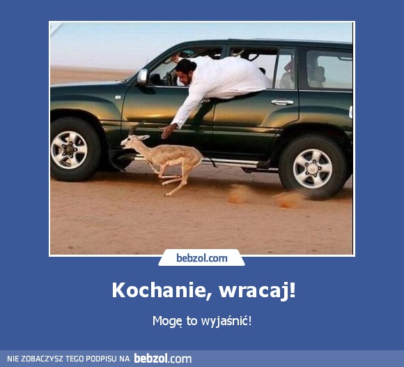 Kochanie, wracaj!