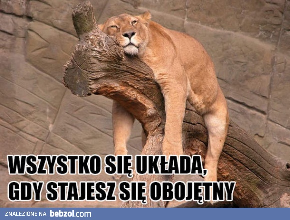 Wszystko się układa, kiedy