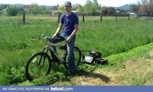 Pomysłowy Dobromir w akcji