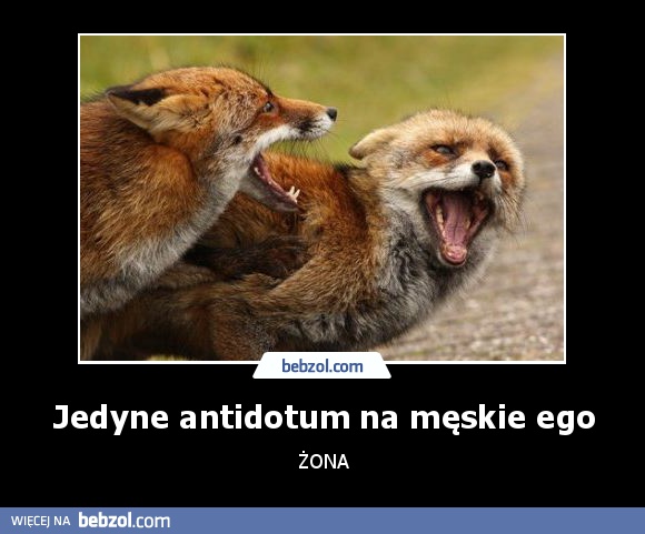 Jedyne antidotum na męskie ego