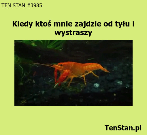 Kiedy ktoś mnie wystraszy