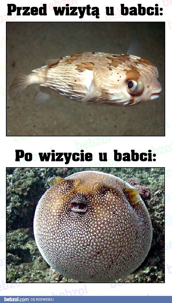 Wizyta u babci