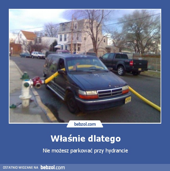 Właśnie dlatego