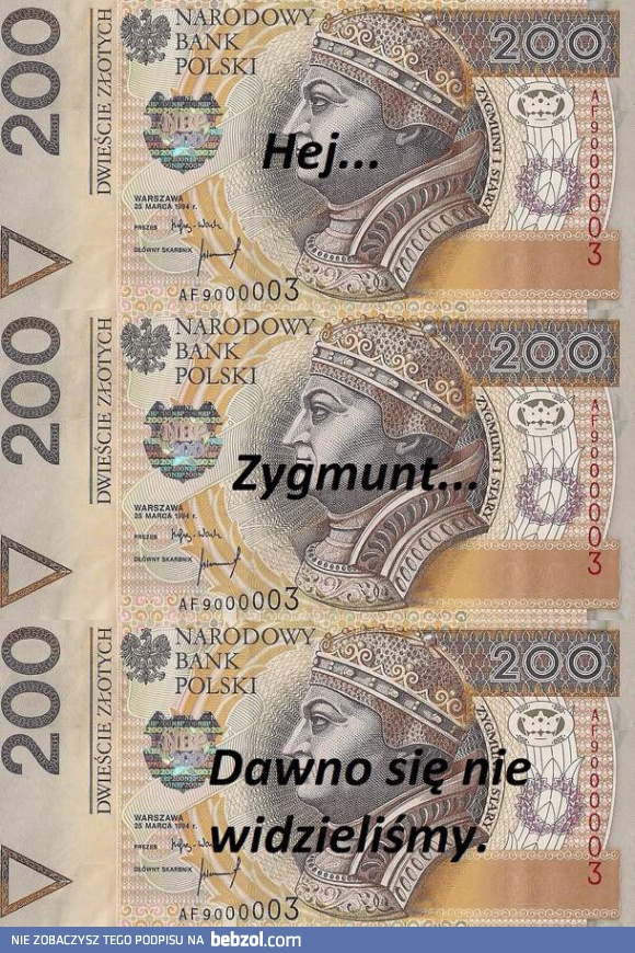 Dawno się nie widzieliśmy, Zygmunt