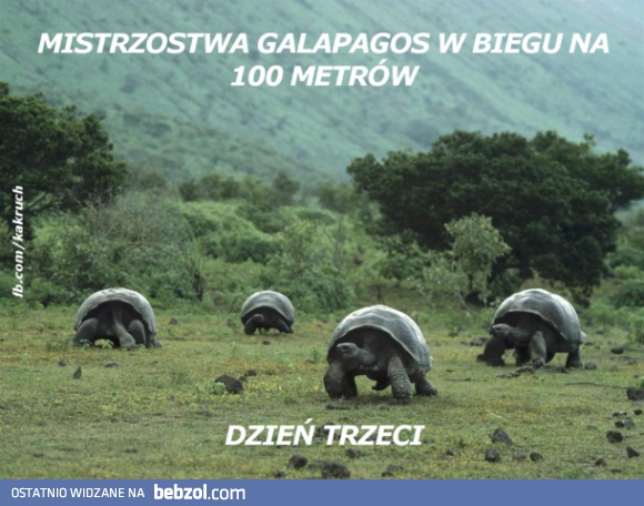 Mistrzostwa w biegu