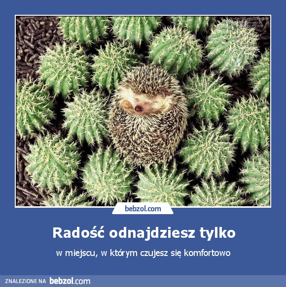 Radość odnajdziesz tylko