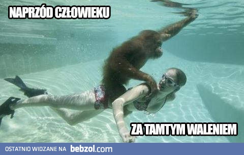 Naprzód, człowieku!