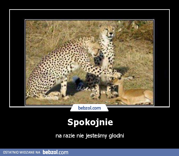 Spokojnie