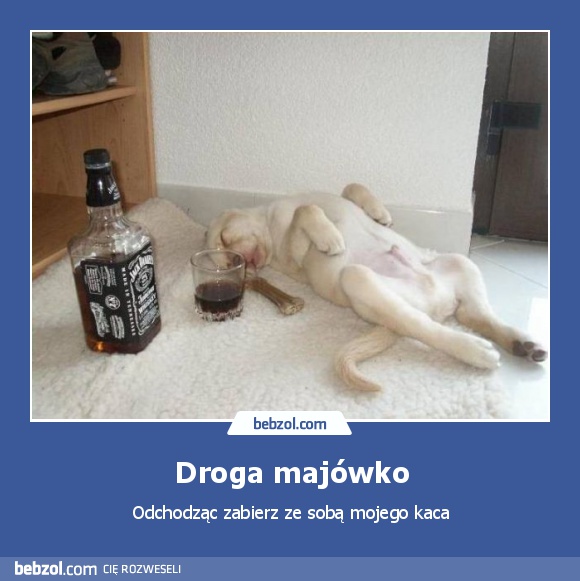 Droga majówko