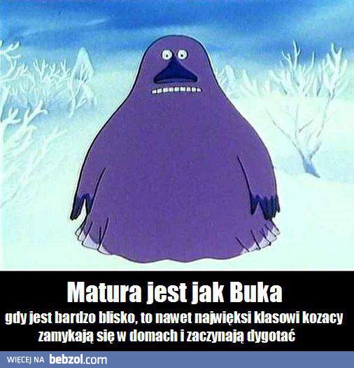 Matura jest jak Buka