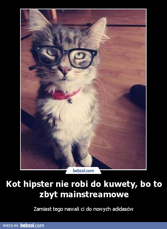 Kot hipster nie robi do kuwety, bo to zbyt mainstreamowe