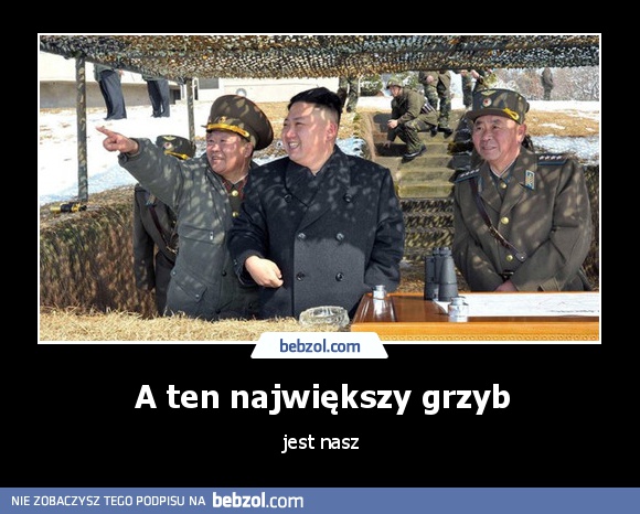 A ten największy grzyb